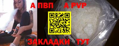 герыч Кингисепп