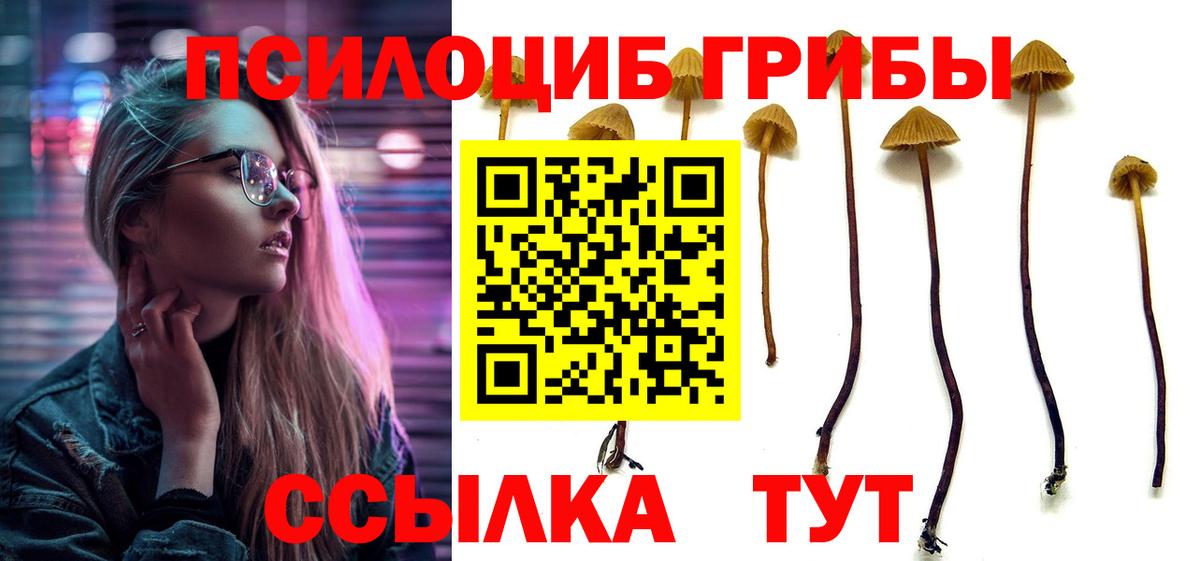 Псилоцибиновые грибы ЛСД  Псилоцибиновые грибы MAGIC MUSHROOMS  Вход с VPN  Нерюнгри 